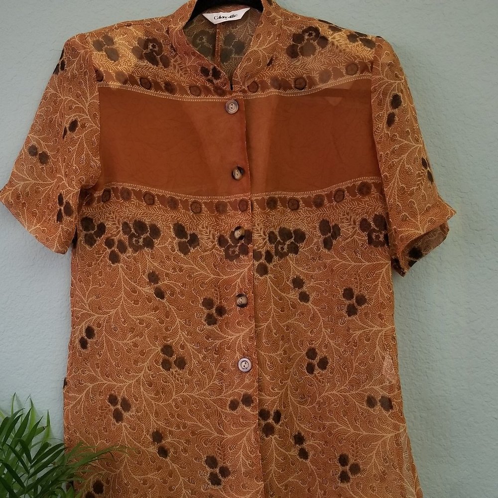 Sheer Short Sleeve Blouse